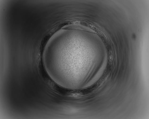 X0000087580555200705181203