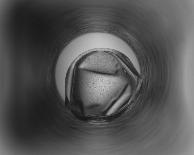 X0000087580556200705181203