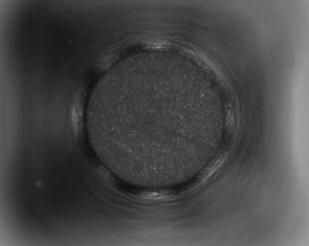 X0000087580557200705181203