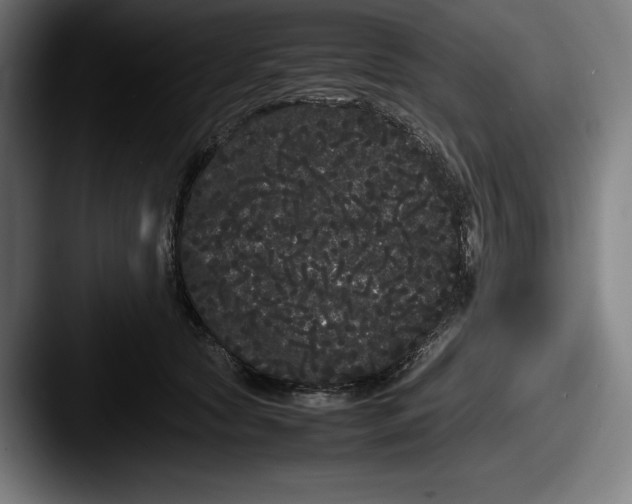 X0000087580561200705181203