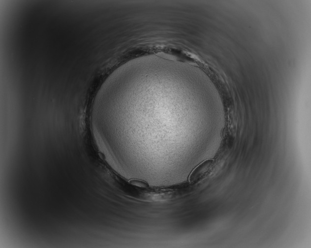 X0000087580563200705181203