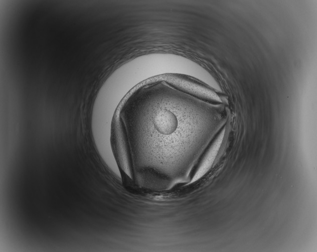 X0000087580564200705181203