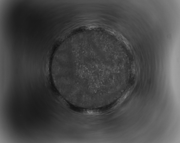 X0000087580565200705181203
