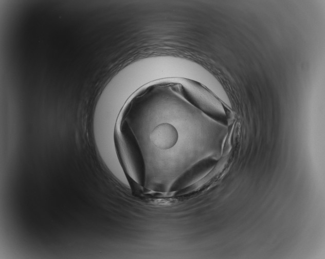 X0000087580566200705181203