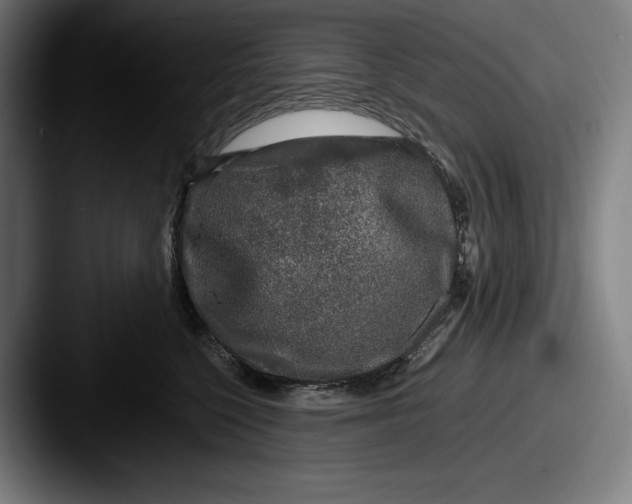 X0000087580568200705181203