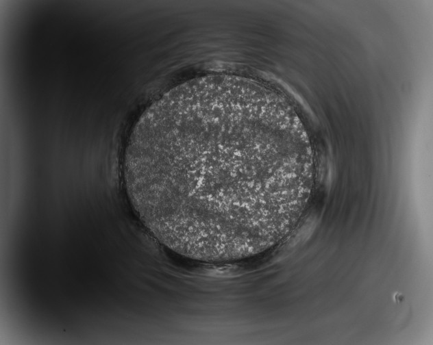 X0000087580569200705181203
