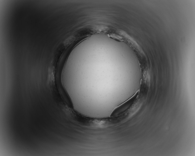 X0000087580570200705181203