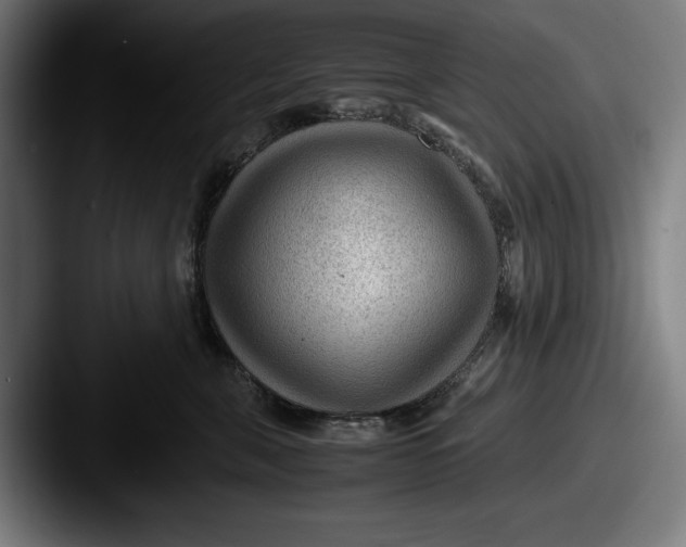 X0000087580571200705181203