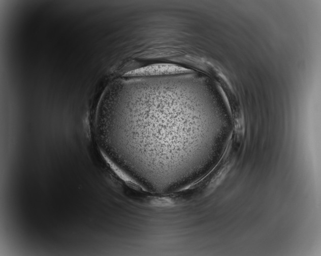 X0000087580572200705181203
