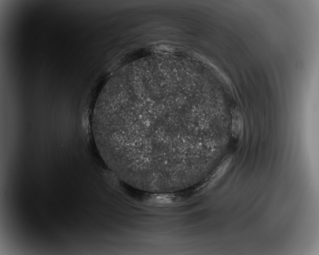 X0000087580573200705181203