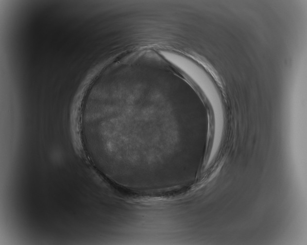 X0000087580577200705181202