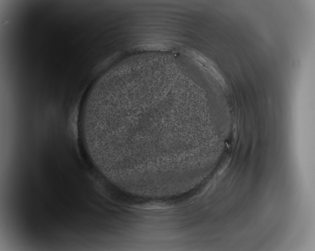 X0000087580578200705181202
