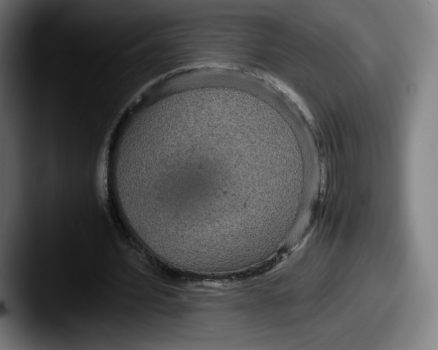 X0000087580580200705181202