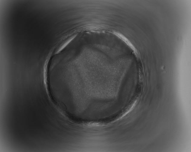 X0000087580581200705181202