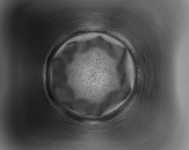 X0000087580582200705181202