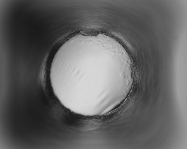 X0000087580583200705181202