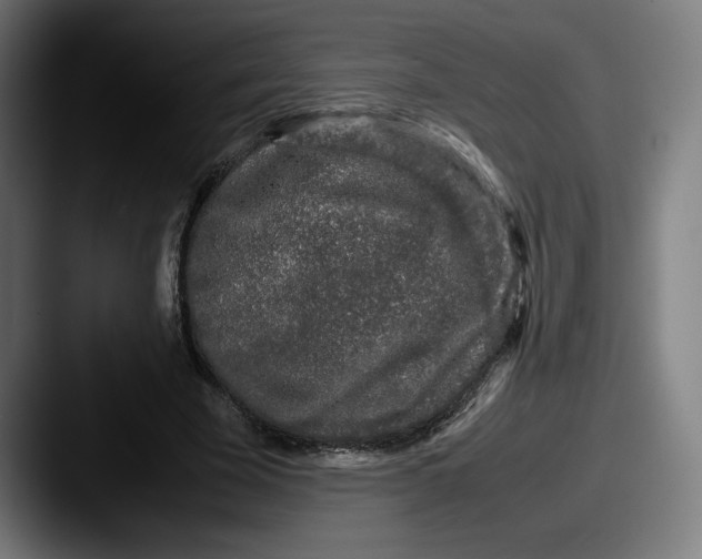 X0000087580585200705181202