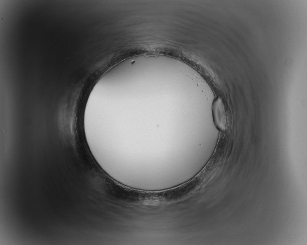 X0000087580587200705181202