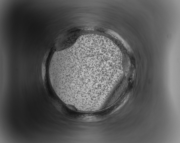 X0000087580589200705181202