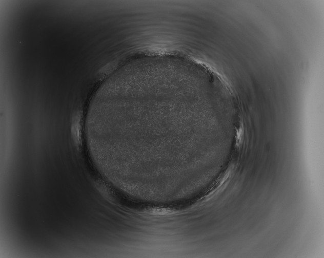 X0000087580590200705181202