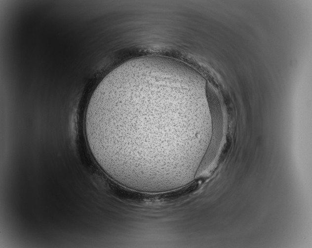 X0000087580591200705181202