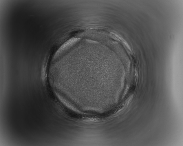 X0000087580593200705181202