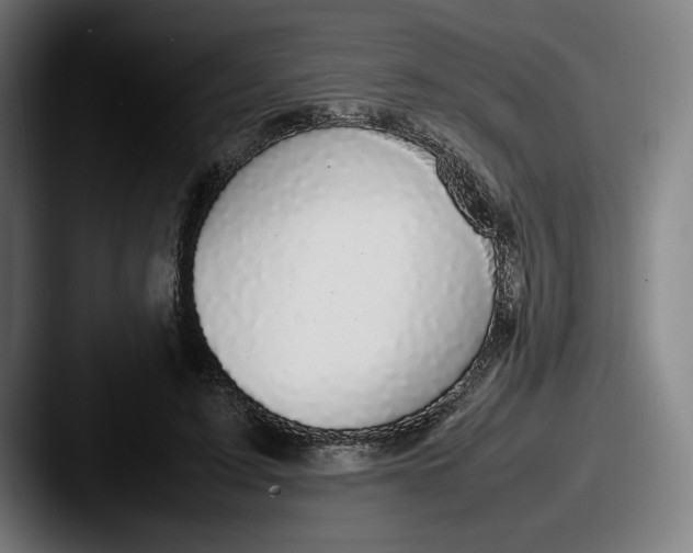 X0000087580595200705181202