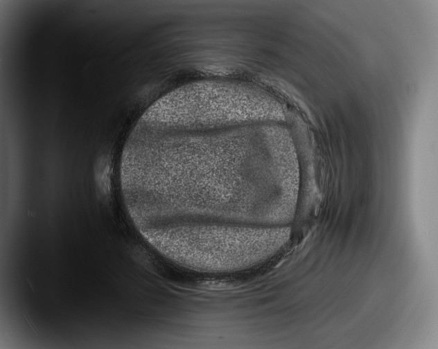 X0000087580596200705181202