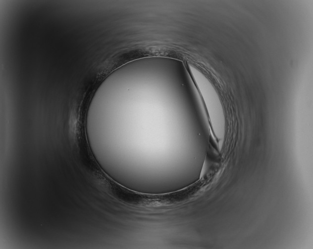 X0000087580597200705181202