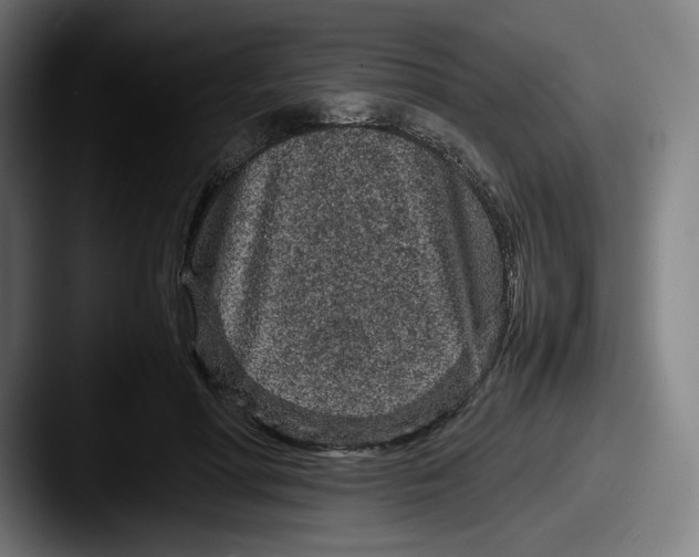 X0000087580598200705181202