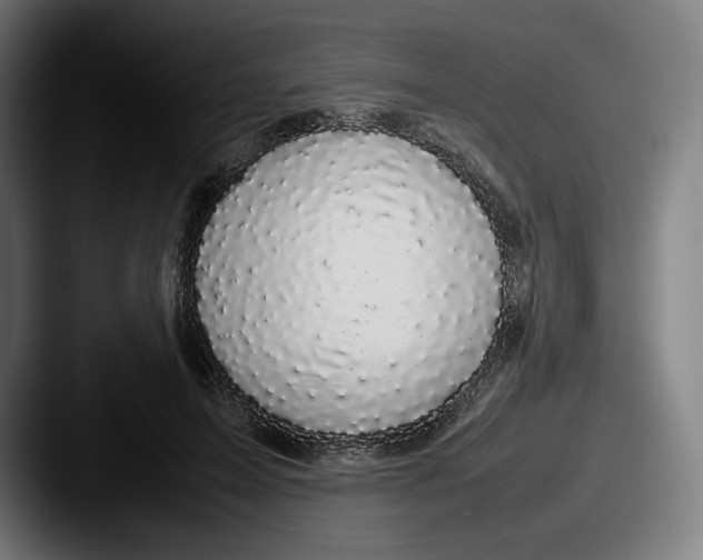 X0000087580599200705181202