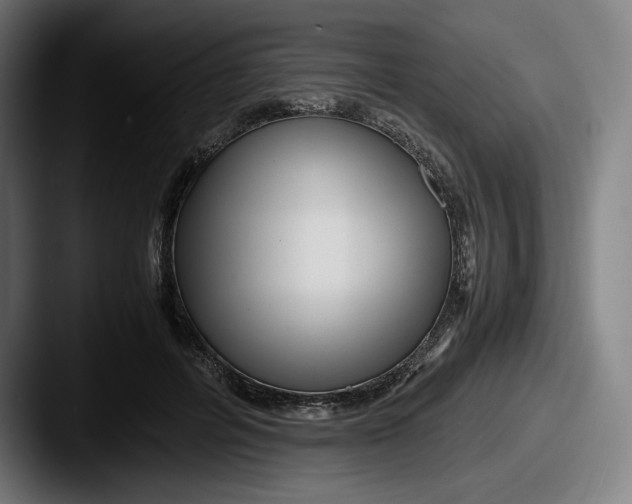X0000087580600200705181202