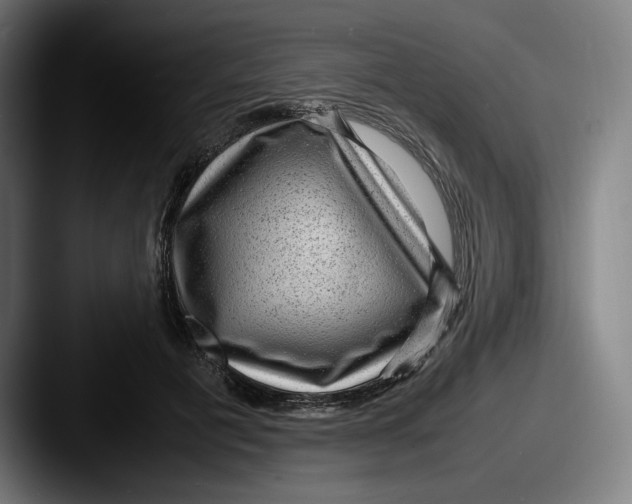 X0000087580601200705181202