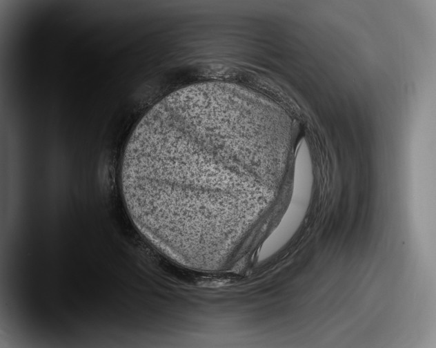 X0000087580602200705181202