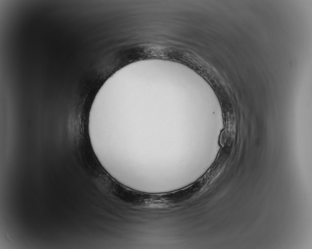X0000087580603200705181202