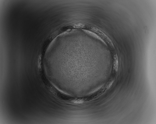 X0000087580604200705181202
