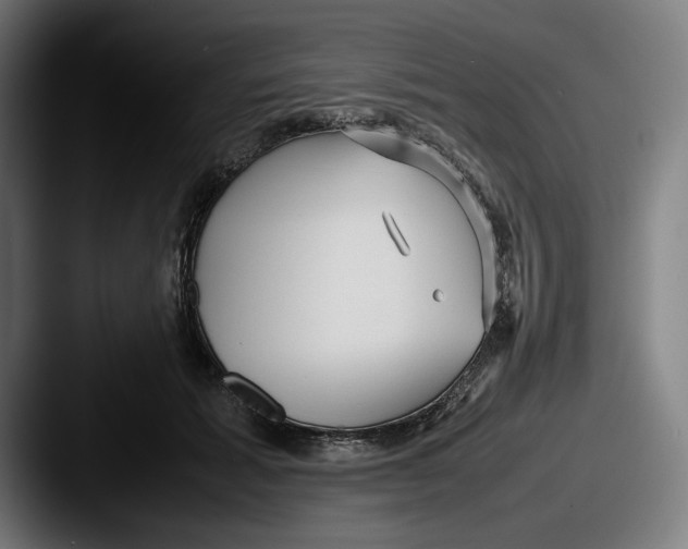 X0000087580605200705181202
