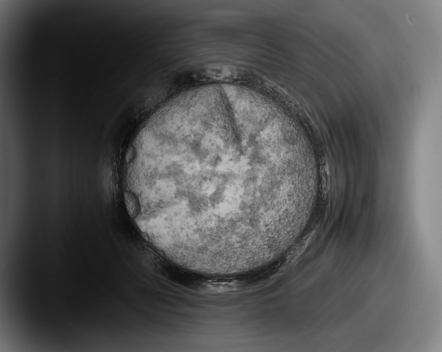 X0000087580606200705181202