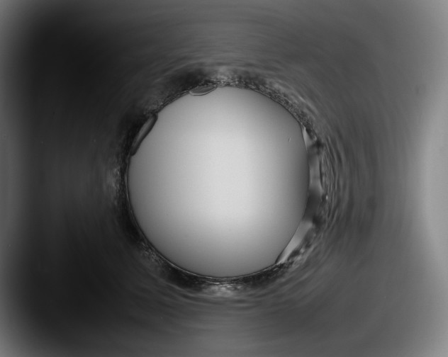 X0000087580611200705181202