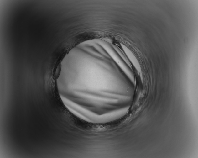 X0000087580613200705181202