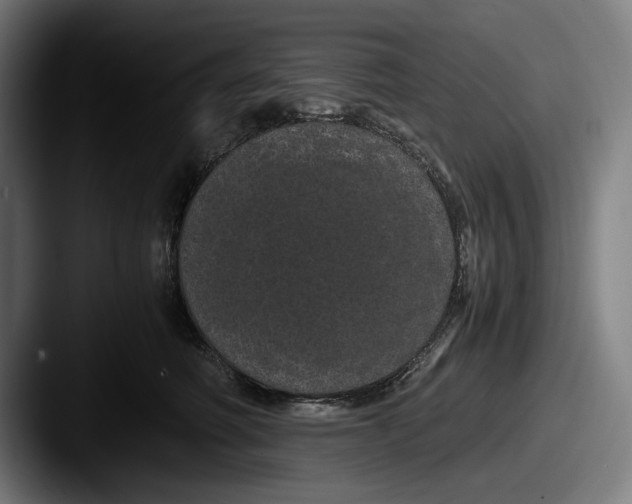 X0000087580614200705181202