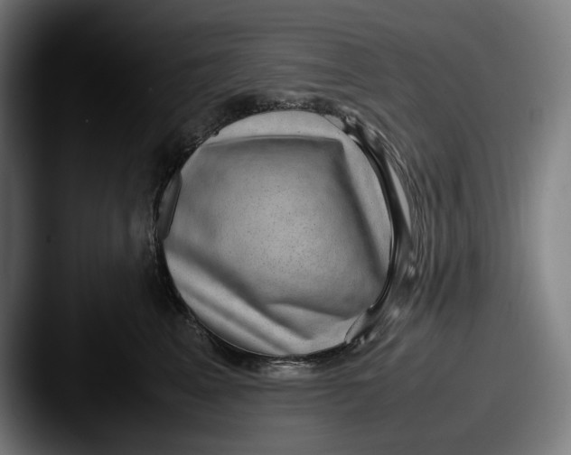 X0000087580617200705181202