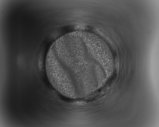 X0000087580619200705181202