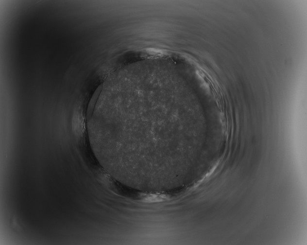 X0000087580621200705181202