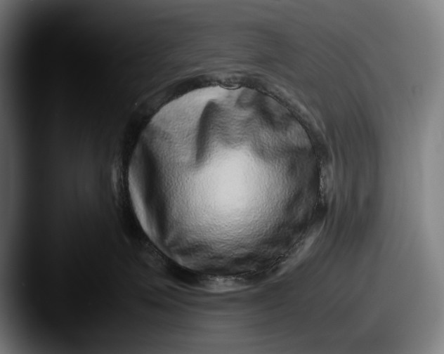 X0000087580623200705181202