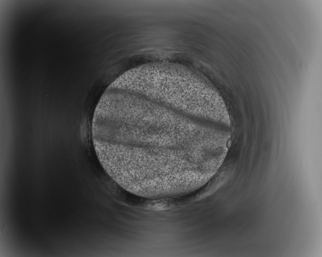 X0000087580624200705181202