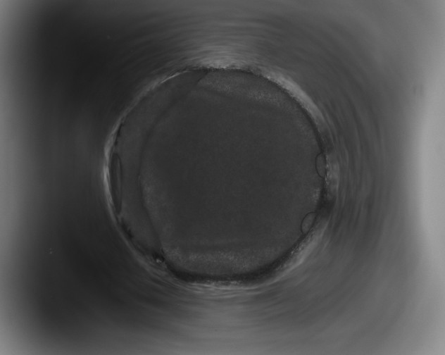 X0000087580626200705181201