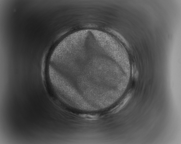 X0000087580627200705181201