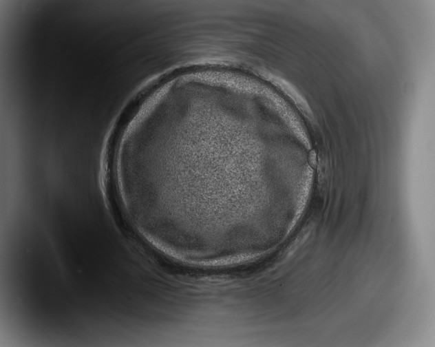 X0000087580628200705181201