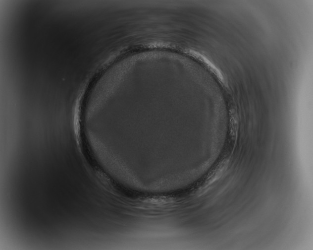 X0000087580631200705181201